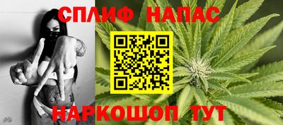 гашик Новодвинск