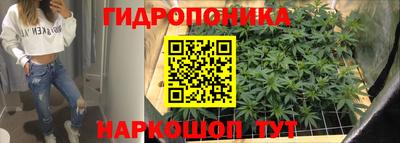 гашик Новодвинск