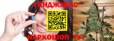 гашик Новодвинск