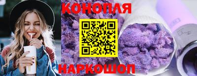 гашик Новодвинск