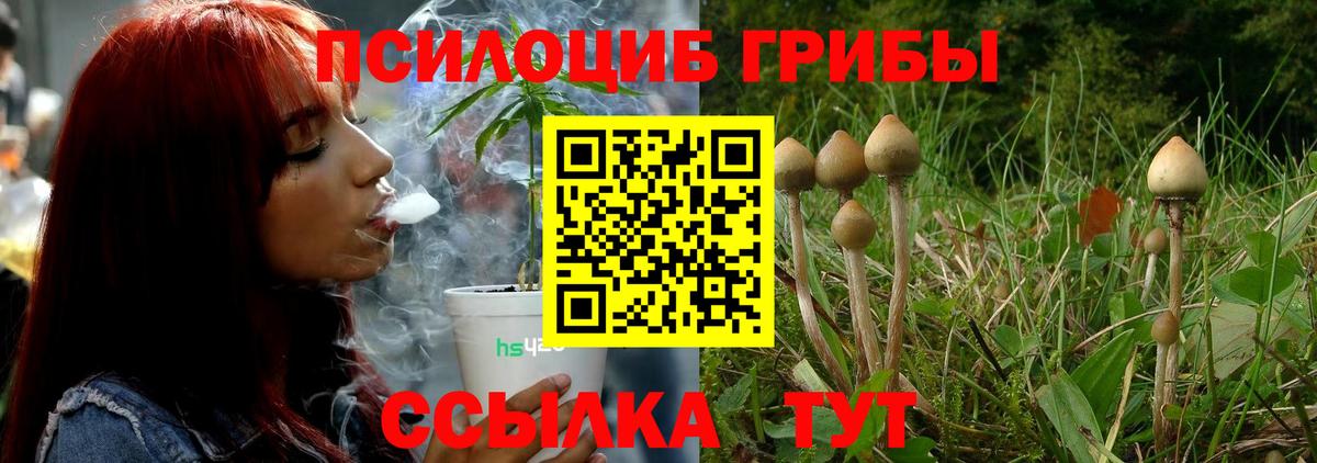 Галлюциногенные грибы Psilocybe  Галлюциногенные грибы мицелий  Вход с VPN  Пушкино 